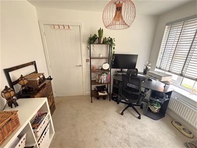 Picture 13